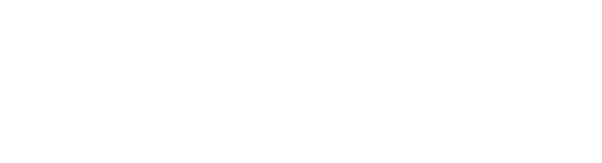 Biz to Wallet